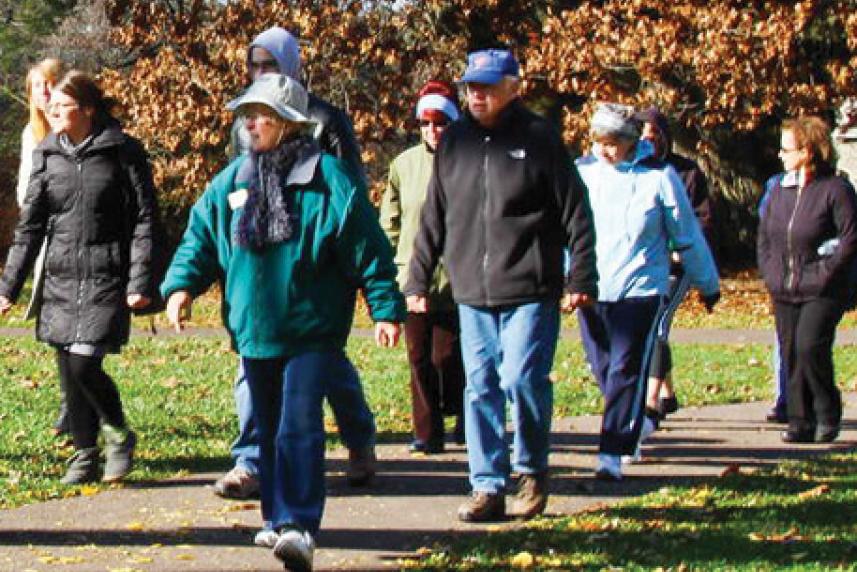 friends walking in the park